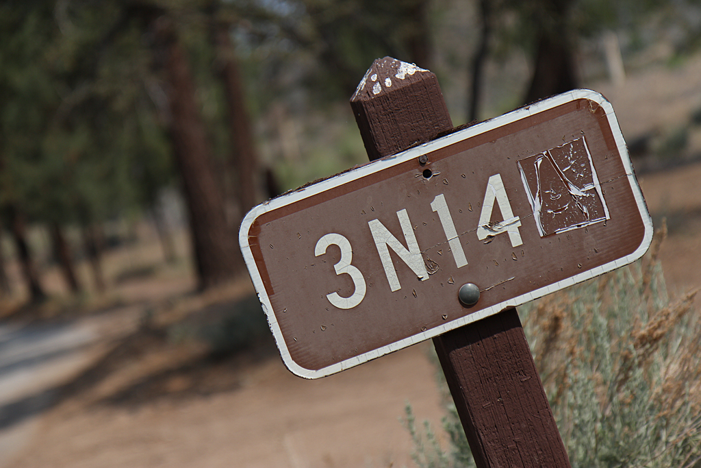 bbf_6-29-13_14.jpg