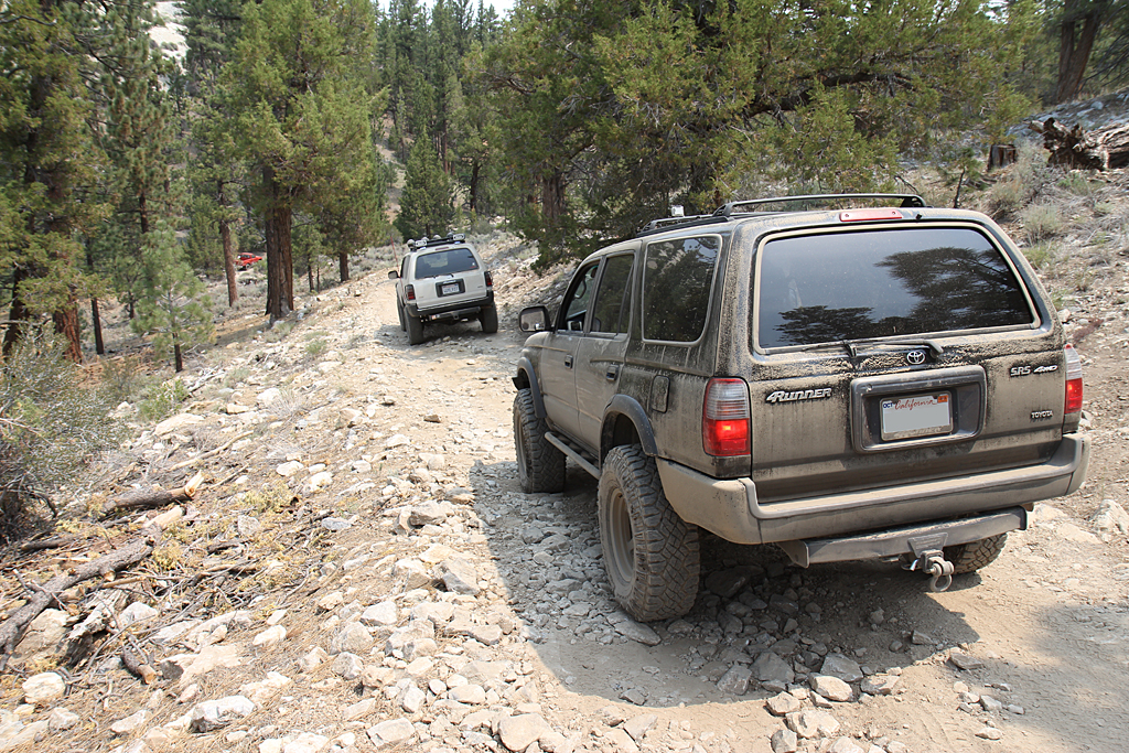 bbf_6-29-13_30.jpg