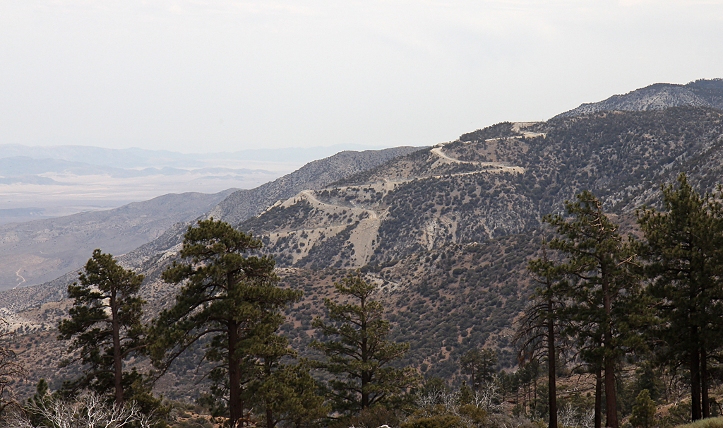 bbf_6-29-13_35.jpg