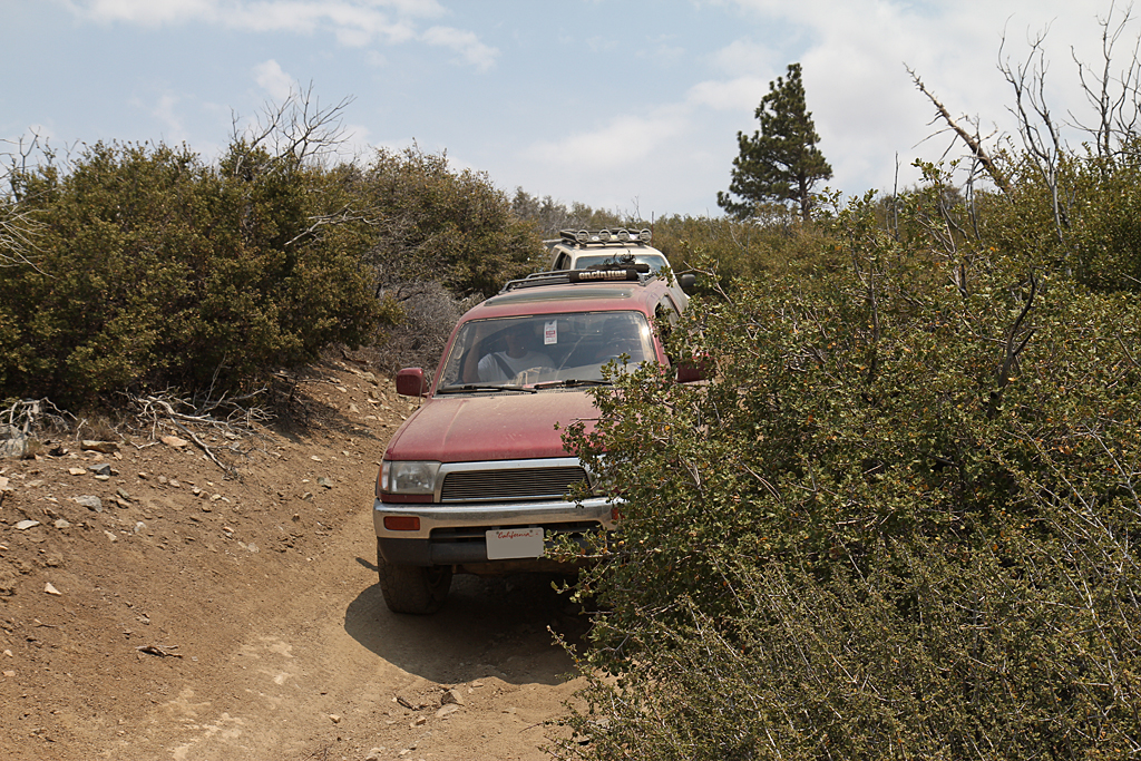 bbf_6-29-13_63.jpg