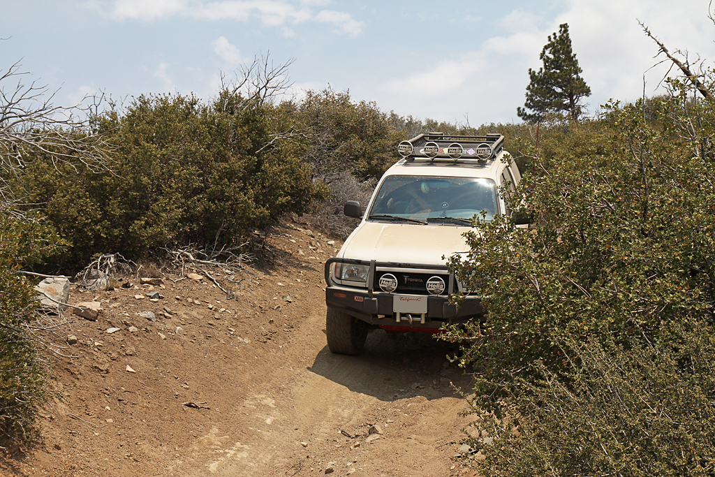 bbf_6-29-13_64.jpg