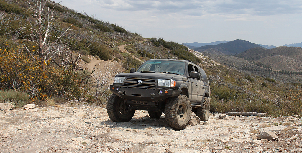 bbf_6-29-13_72.jpg